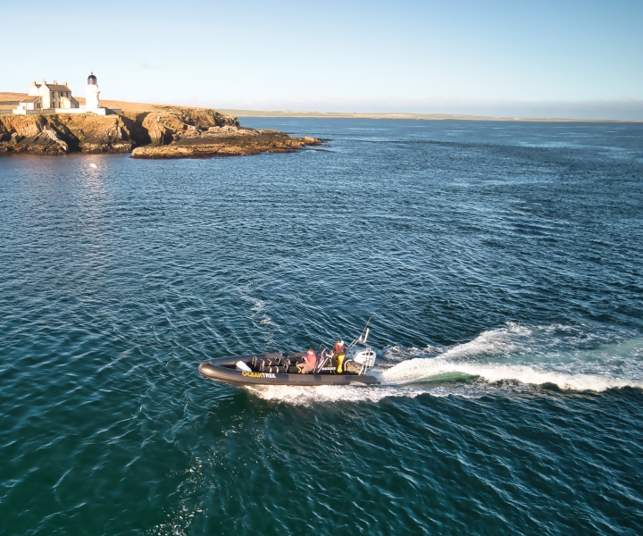Orcadi: tour in motoscafo costiero in barca storica e faunistica