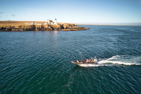 Orkney: 2-Hour Shapinsay Island Speedboat Tour