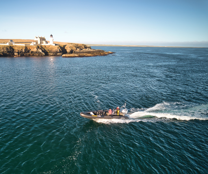 Orkney: 2-Hour Shapinsay Island Speedboat Tour