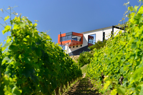 Saint-Emilion: Wein- & Speisen auf der Terrasse des Château