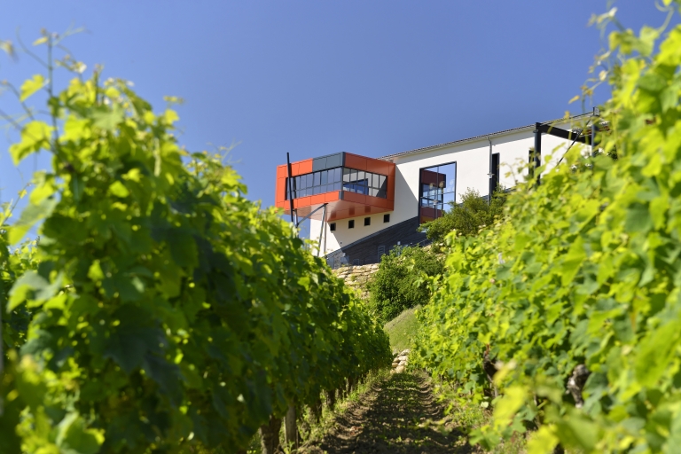 Saint-Emilion: Wein- & Speisen auf der Terrasse des Château