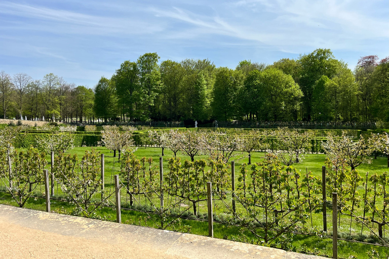 Prywatna wycieczka krajoznawcza taksówką do Poczdamu i Sanssouci