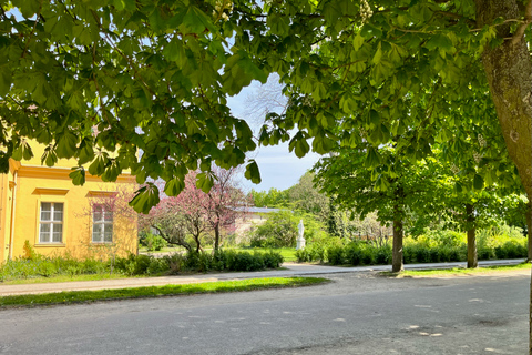 Prywatna wycieczka krajoznawcza taksówką do Poczdamu i Sanssouci