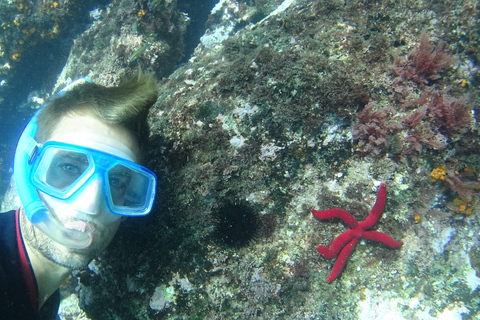 La Herradura: kajak- en snorkeltour door natuurpark Cerro Gordo