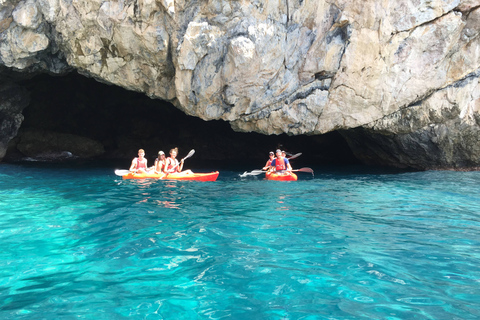 La Herradura: wycieczka kajakiem i snorkelingiem po parku przyrody Cerro Gordo