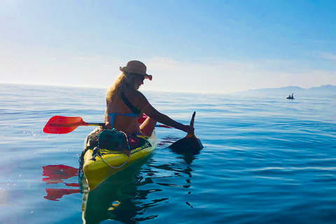 La Herradura: kajak- en snorkeltour door natuurpark Cerro Gordo