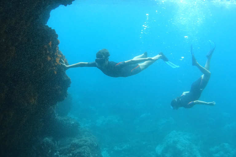 La Herradura: kajak- en snorkeltour door natuurpark Cerro Gordo