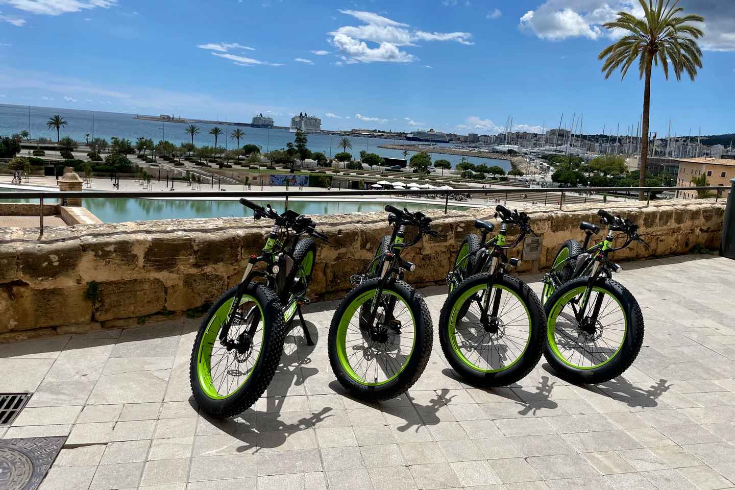 Palma: Guided City Tour with a Fat Tire E-Bike