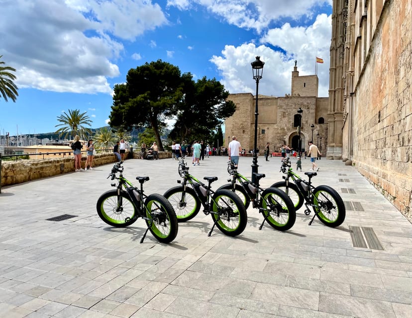 Palma Guided City Tour with a Fat Tire EBike GetYourGuide