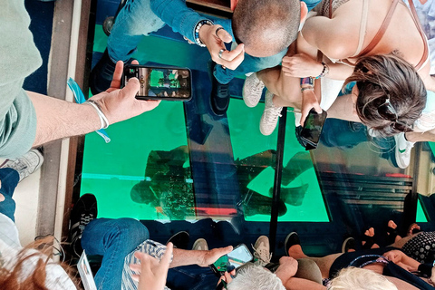 Submerged Park of Baia Glass Bottom Boat Tour