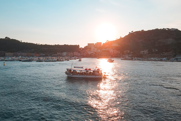 Submerged Park of Baia Glass Bottom Boat Tour