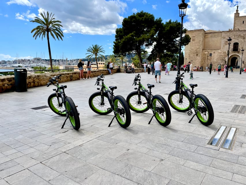 Palma Guided City Tour with a Fat Tire EBike GetYourGuide