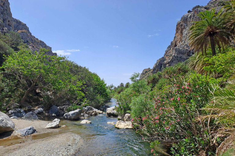 Z Rethymno: Kourtaliotiko, Preveli Palm Beach i Damnoni