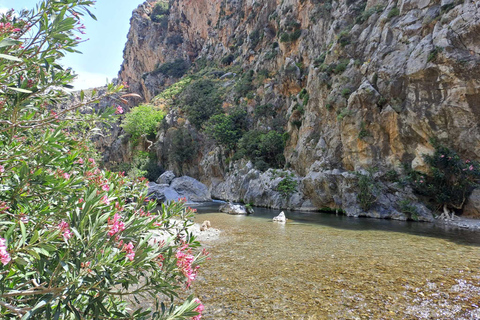 Z Rethymno: Kourtaliotiko, Preveli Palm Beach i Damnoni