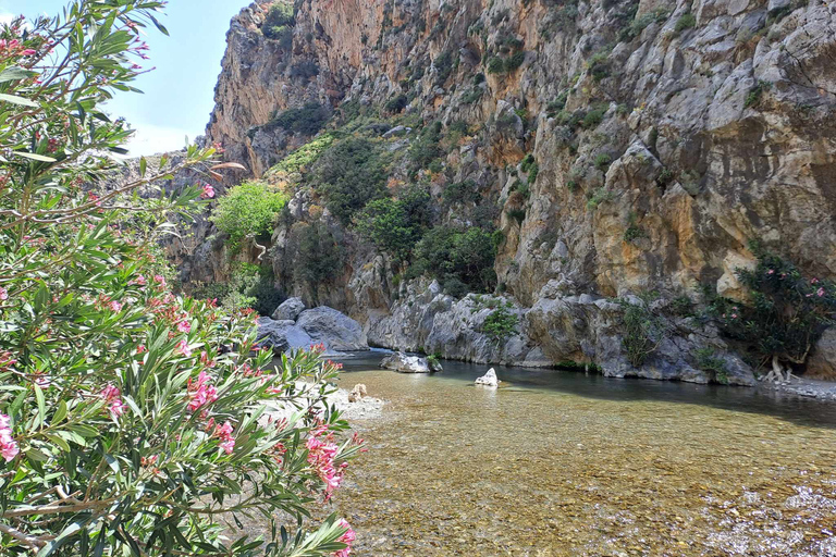 Z Rethymno: Kourtaliotiko, Preveli Palm Beach i Damnoni