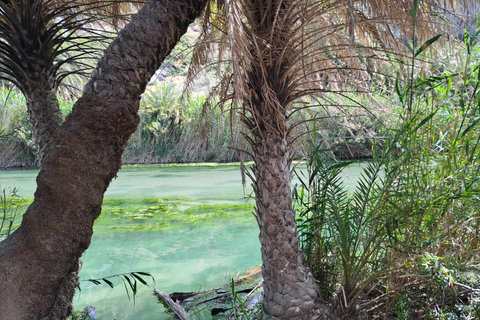 Z Rethymno: Kourtaliotiko, Preveli Palm Beach i Damnoni