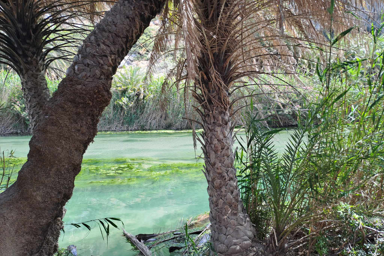 Z Rethymno: Kourtaliotiko, Preveli Palm Beach i Damnoni