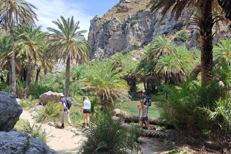 Z Rethymno: Kourtaliotiko, Preveli Palm Beach i Damnoni