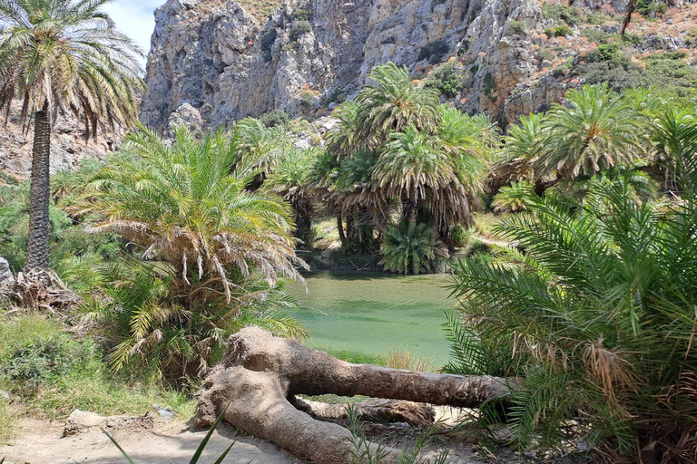 Z Rethymno: Kourtaliotiko, Preveli Palm Beach i Damnoni