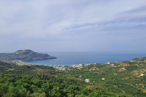 Z Rethymno: Kourtaliotiko, Preveli Palm Beach i Damnoni