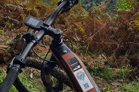 Camacha: Excursão Guiada de e-Bike pela Trilha da LevadaE-Mountain bike tour na Madeira!