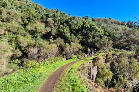 E-Mountain bike tour in Madeira!