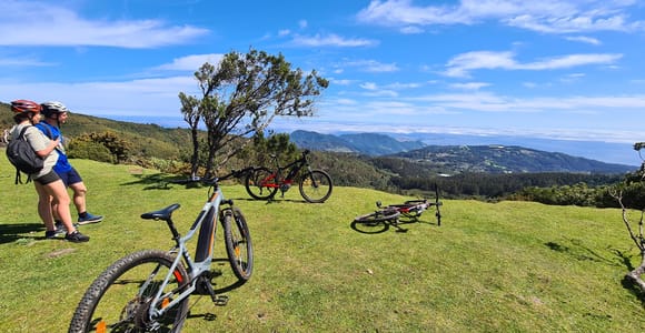 Camacha: Levada Trail e-Bike Guided Tour