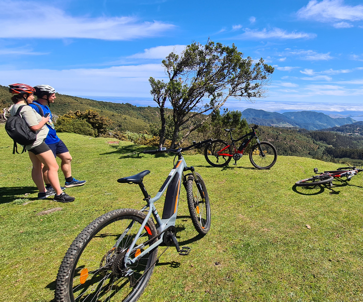 Camacha: Levada Trail e-Bike Guided Tour