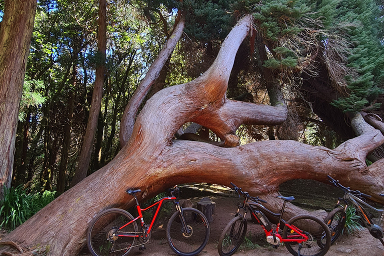 E-mountainbiketocht op Madeira!Privé e-mountainbiketour op Madeira!