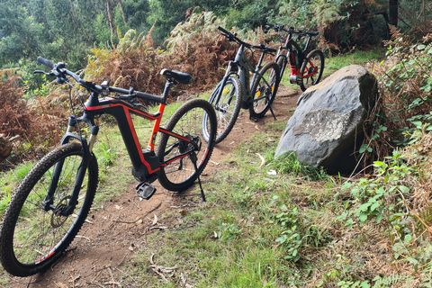 Camacha: Levada Trail e-Bike Guided TourE-Mountain bike tour in Madeira!