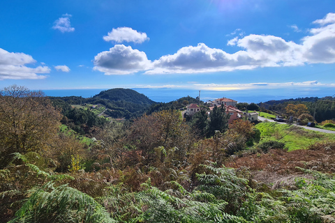 Camacha: Excursão Guiada de e-Bike pela Trilha da LevadaE-Mountain bike tour na Madeira!