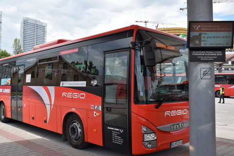 Bratislava: trasferimento in autobus da/per ViennaSingola da Bratislava a Vienna