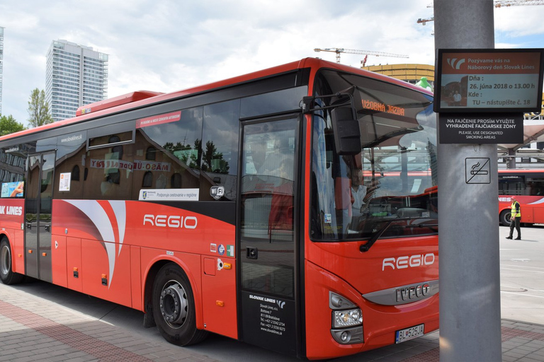 Bratislava: trasferimento in autobus da/per ViennaSingola da Bratislava a Vienna