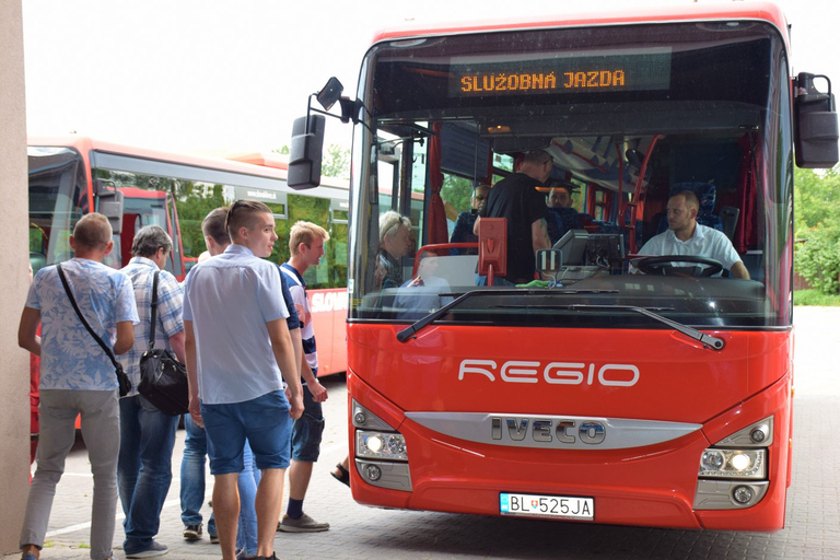 Bratislava: bustransfer van/naar WenenEnkele reis van Bratislava naar Wenen