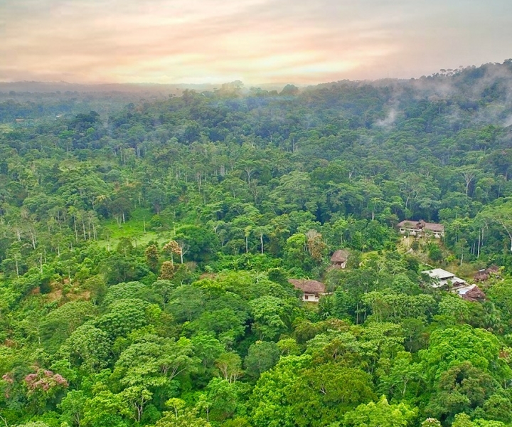 3 Days Discover The Ecuadorian Amazon (Tour From Quito)