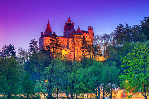 Depuis Bucarest : Excursion à Peles, au château de Dracula, à Brasov