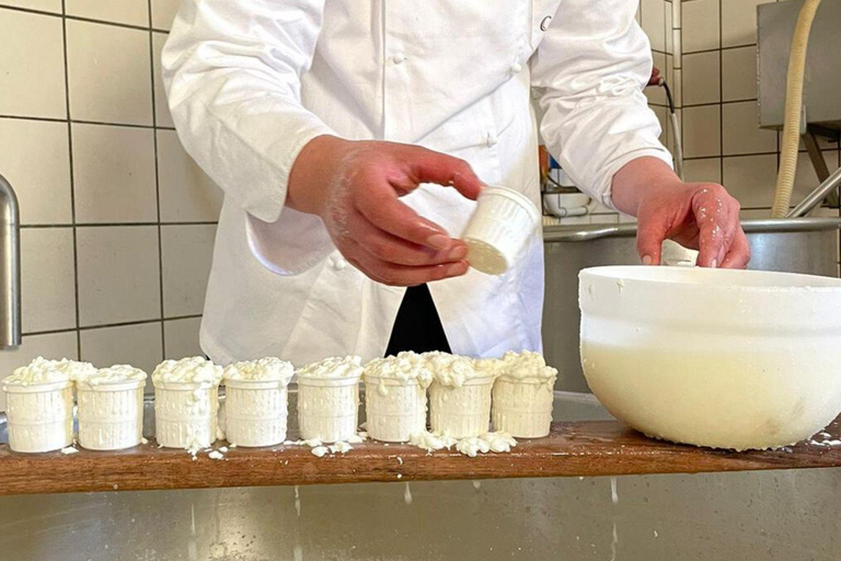 Vico Equense: Cheese-Making Class with Tasting