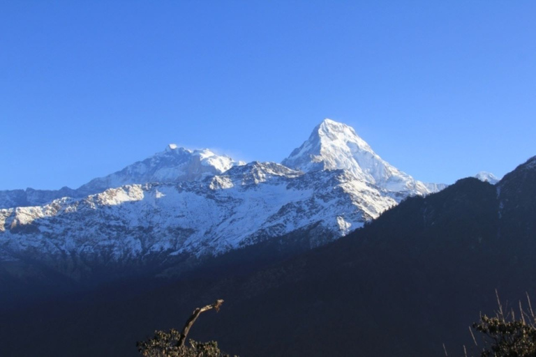 Korte Annapurna Base Camp Trek - 7 dagen