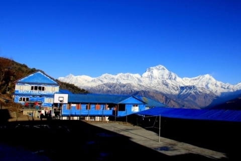 Korte Annapurna Base Camp Trek - 7 dagen