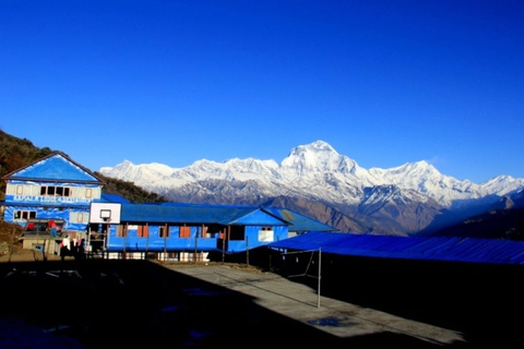 Krótki trekking do bazy pod Annapurną - 7 dni