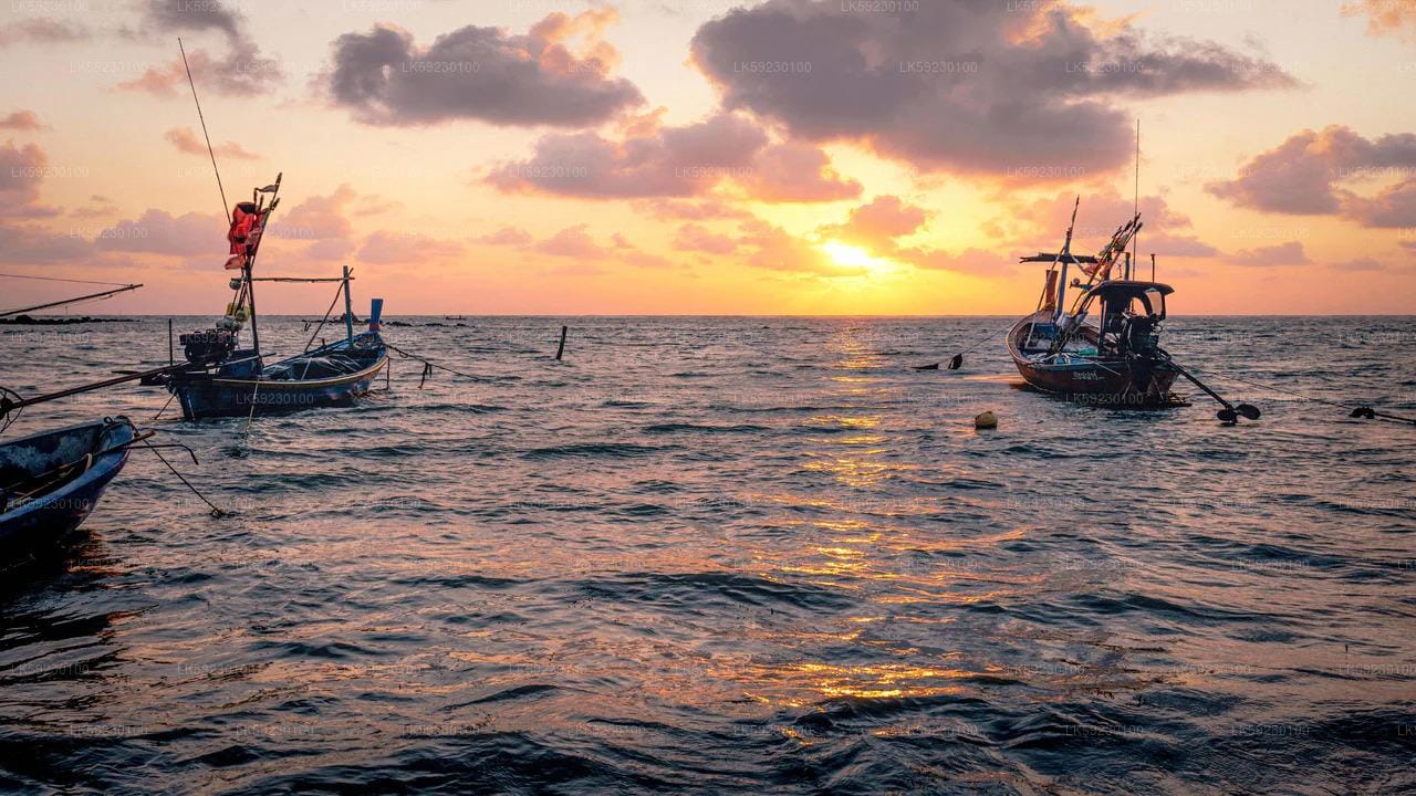 ⁠Casting-Angeln in Trincomalee