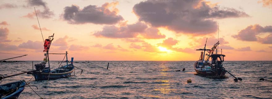 Pêche au lancer à Trincomalee