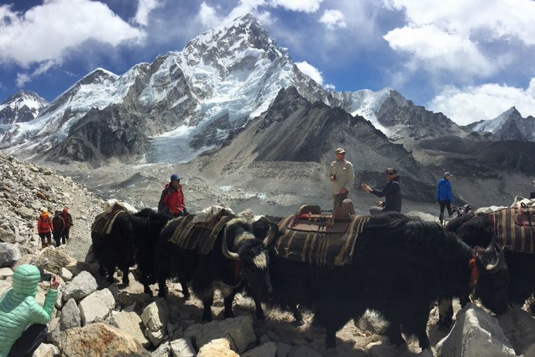 Trek du camp de base de l'Everest Trek Kala Patthar - 13 jours