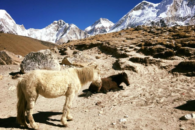 Trek du camp de base de l'Everest Trek Kala Patthar - 13 jours