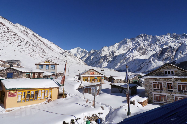 Trekking nella valle del Langtang - 9 giorni