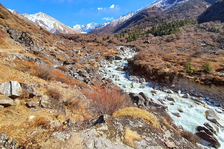 Trekking nella valle del Langtang - 9 giorni