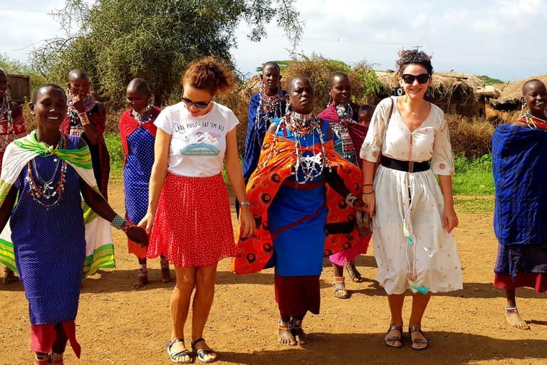 Excursión de un día al Orfanato de Elefantes, Jirafas y Bomas de Kenia