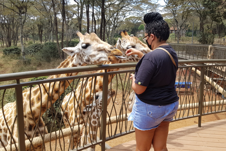 Orfanato de Elefantes, Girafa e Bomas do Quênia Day Tour