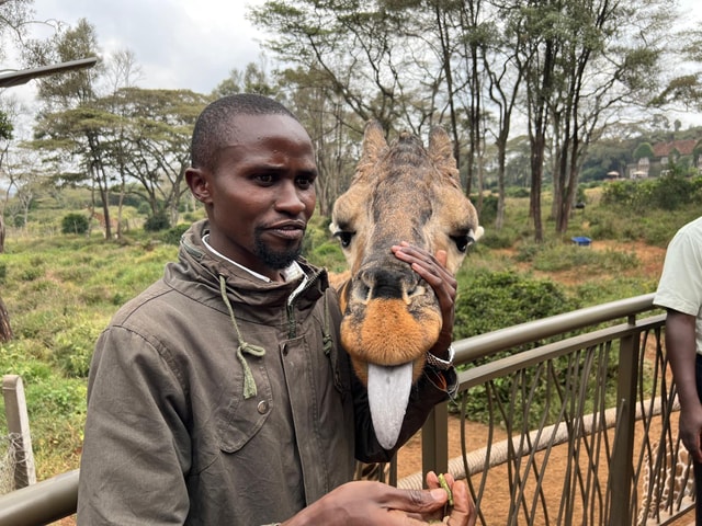 Elephant Orphanage, Giraffe & Bomas of Kenya Day Tour