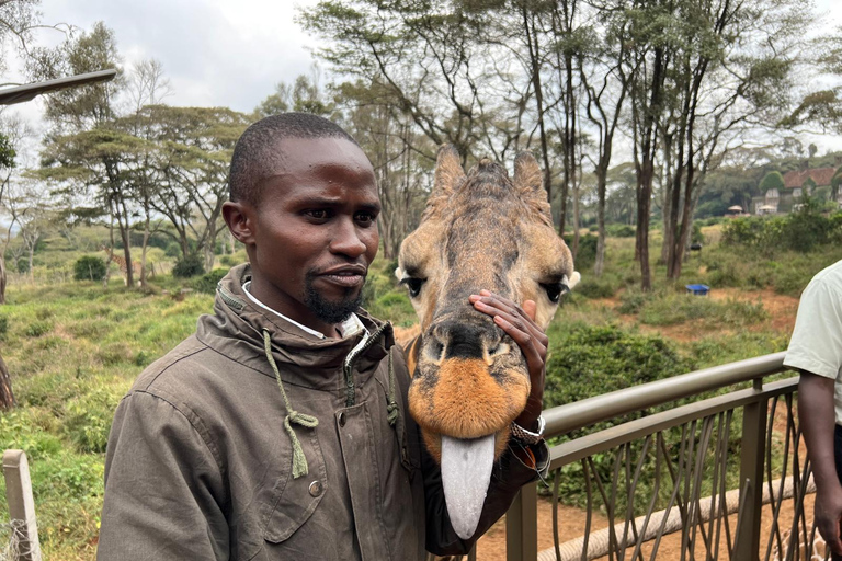 Excursión de un día al Orfanato de Elefantes, Jirafas y Bomas de Kenia